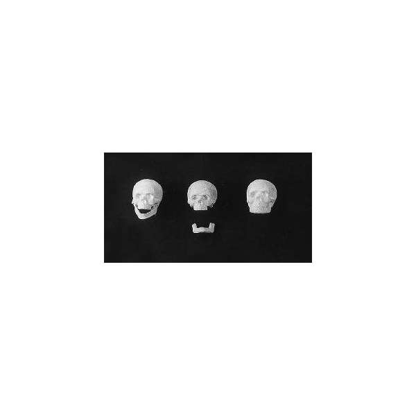 Andrea miniatures,90mm.Skulls (3) figure kits.