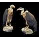 Andrea miniatures,54mm.Vultures.