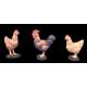 Andrea miniatures,54mm figuren.Hahn und 2 Hühner.