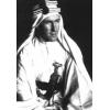 Figurine historique 90mm Lawrence d'Arabie sur son chameau 1917.