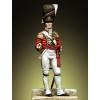 Figure kits.Officer of the 1st Foot Guard Saint James Palace Company Grenadier, G.Britain 1808.