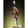 Figure kits.Officer of the 1st Foot Guard Saint James Palace Company Grenadier, G.Britain 1808.