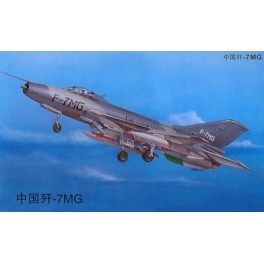  F-7MG ARMEE DE L'AIR CHINOISE  Maquette avion Trumpeter 1/32e