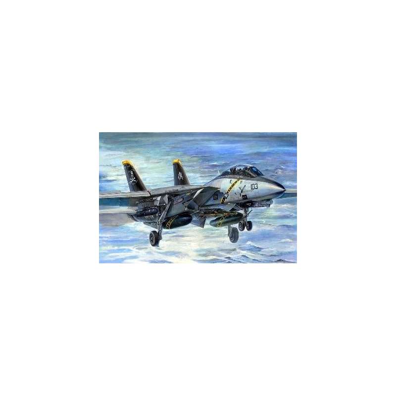  GRUMANN F-14B "SUPER TOMCAT" US ARMY. Maquette avion Trumpeter 1/32e